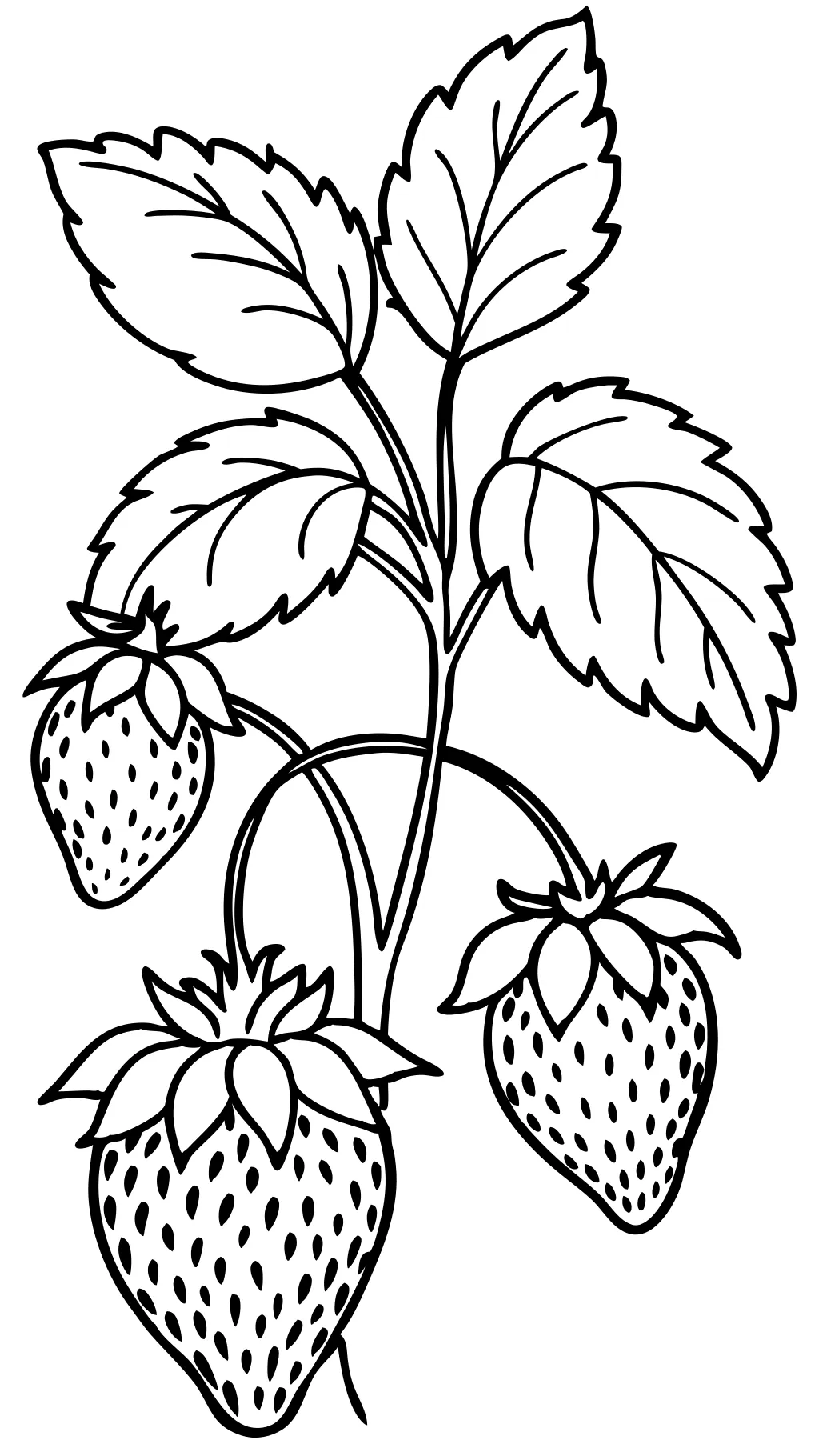 coloriage de plante aux fraises